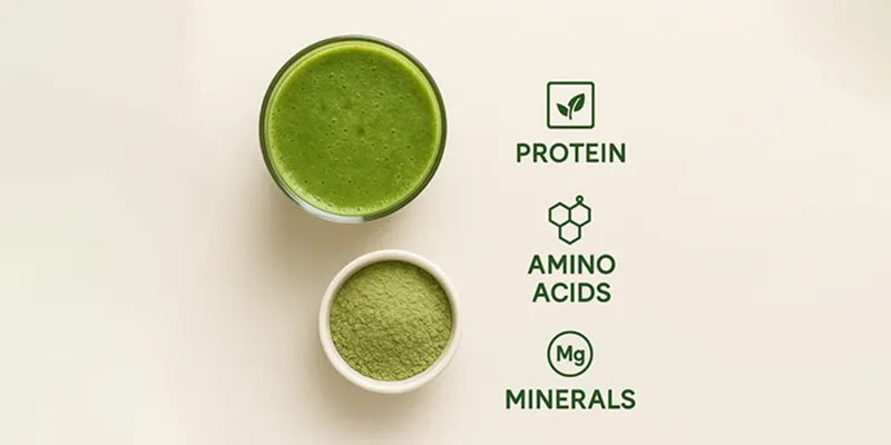 🧬 Water Lentils Nutrition Breakdown: Amino Acids, Minerals &amp; What Makes It a Complete Protein