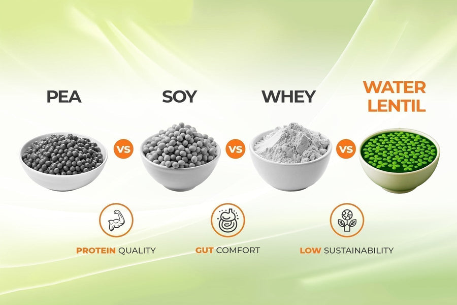 🍃 Water Lentil Protein vs. Pea, Soy & Whey: The Ultimate Comparison Guide