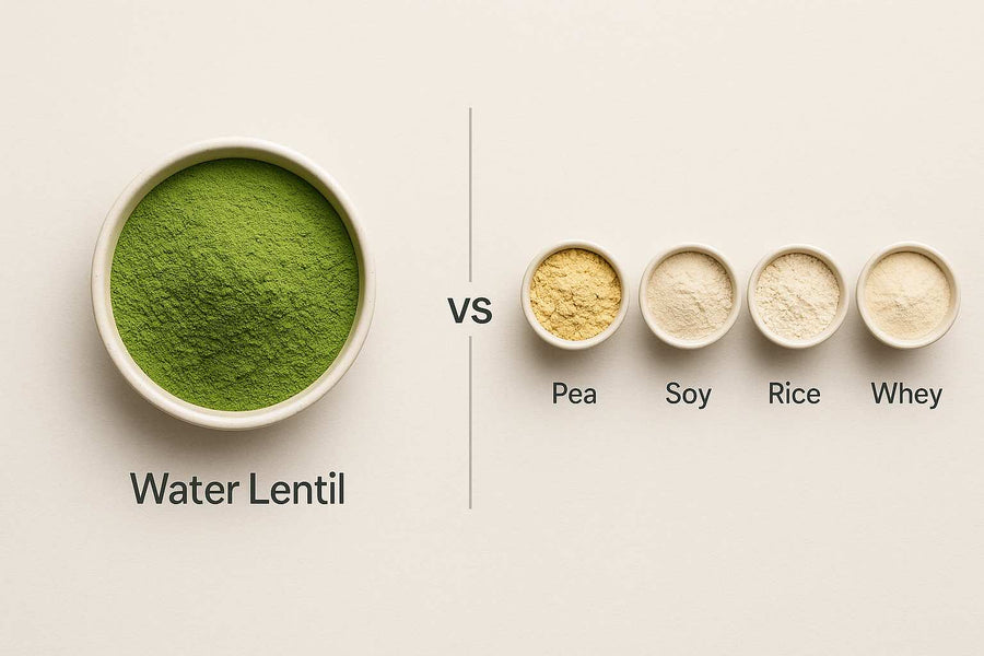 ⚖️ Water Lentil Protein vs Other Plant Proteins: The Complete Comparison Guide (2025)