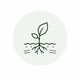 Plants Can Absorb Trace Elements